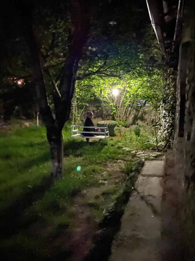 Ludwig Guesthouse Lagodekhi Kültér fotó
