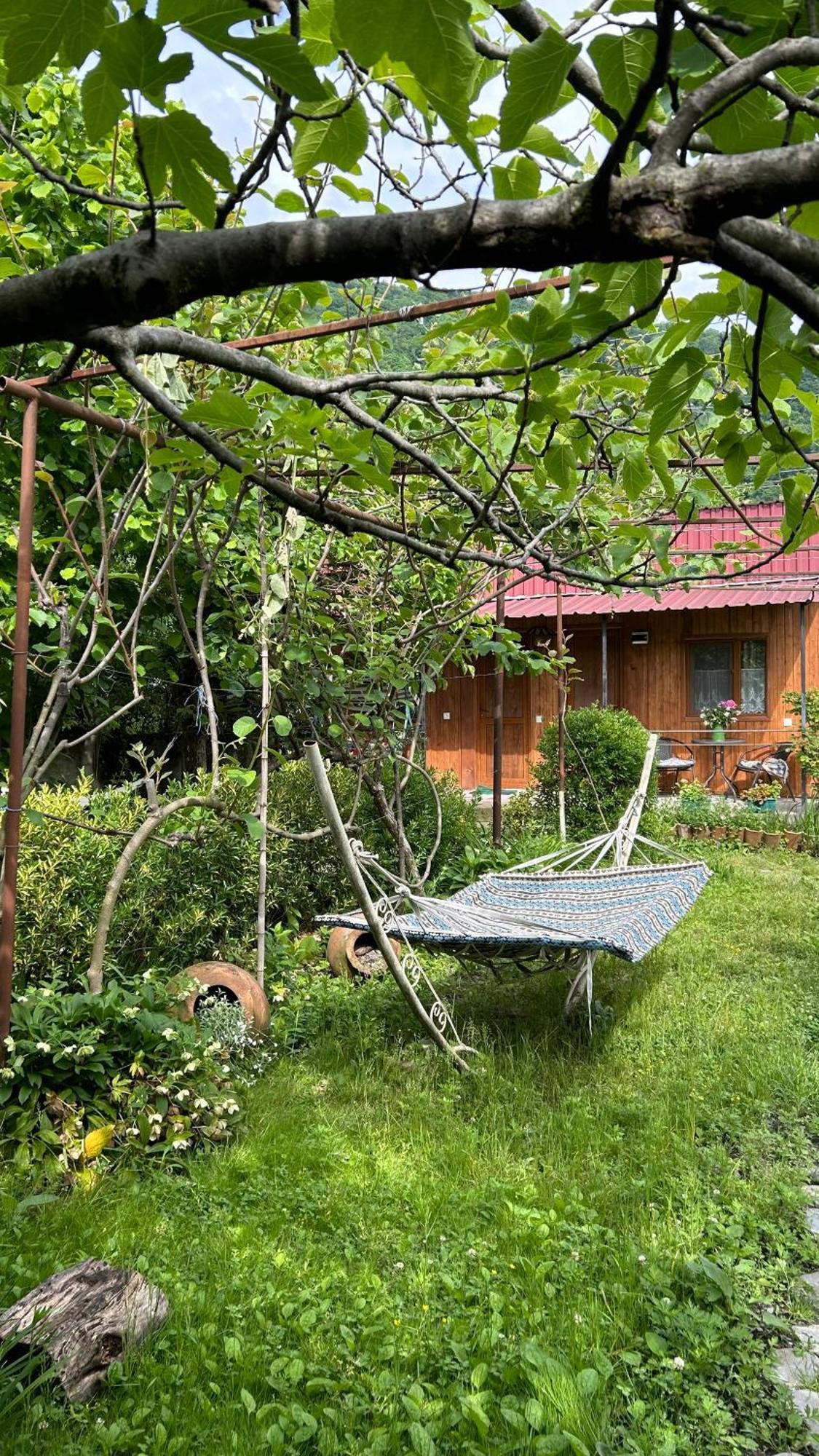 Ludwig Guesthouse Lagodekhi Kültér fotó