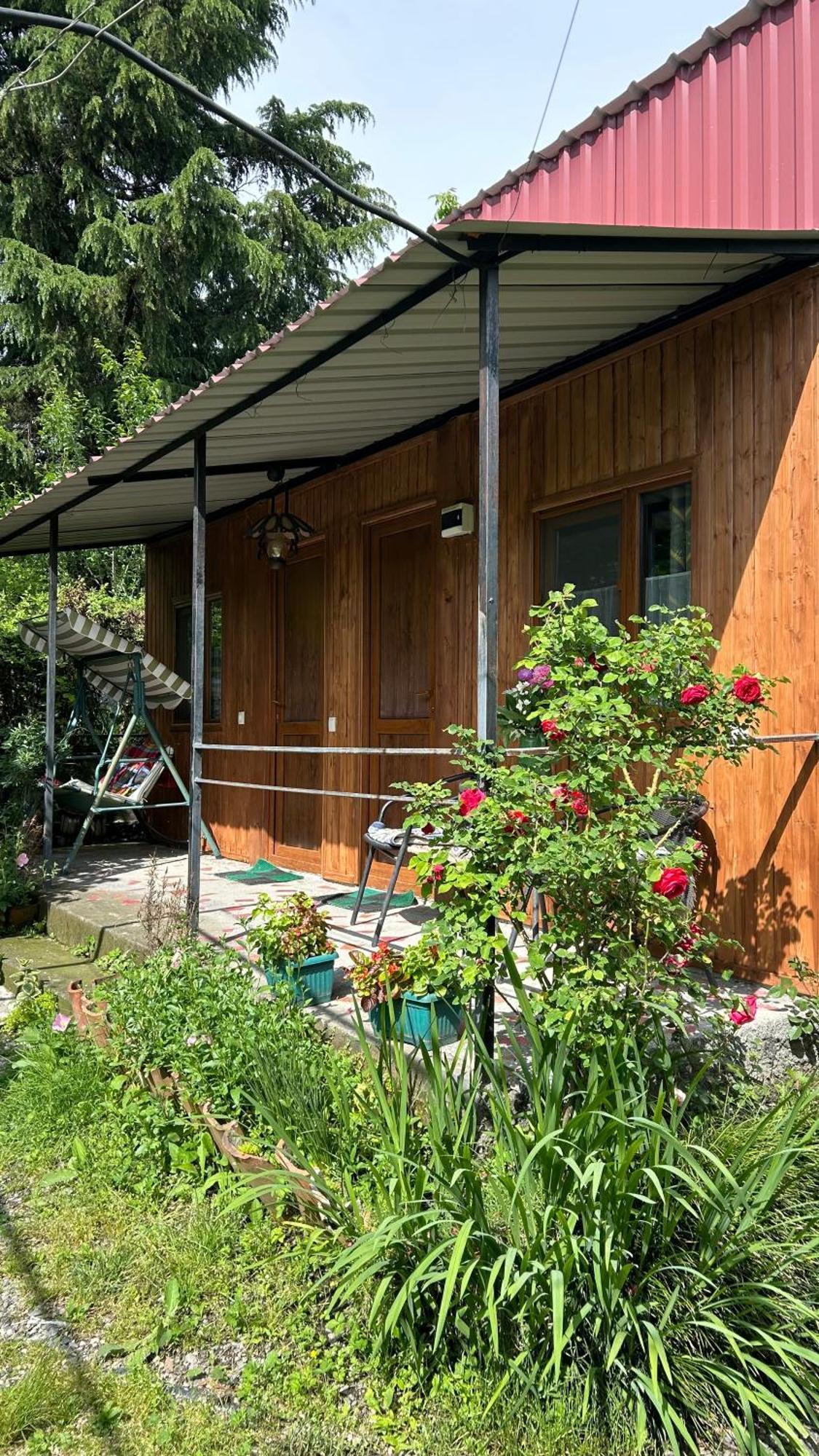Ludwig Guesthouse Lagodekhi Kültér fotó