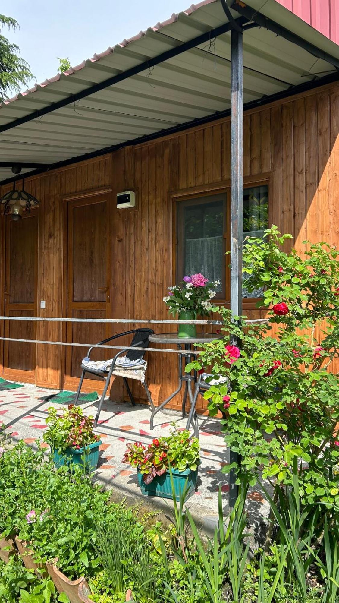 Ludwig Guesthouse Lagodekhi Kültér fotó