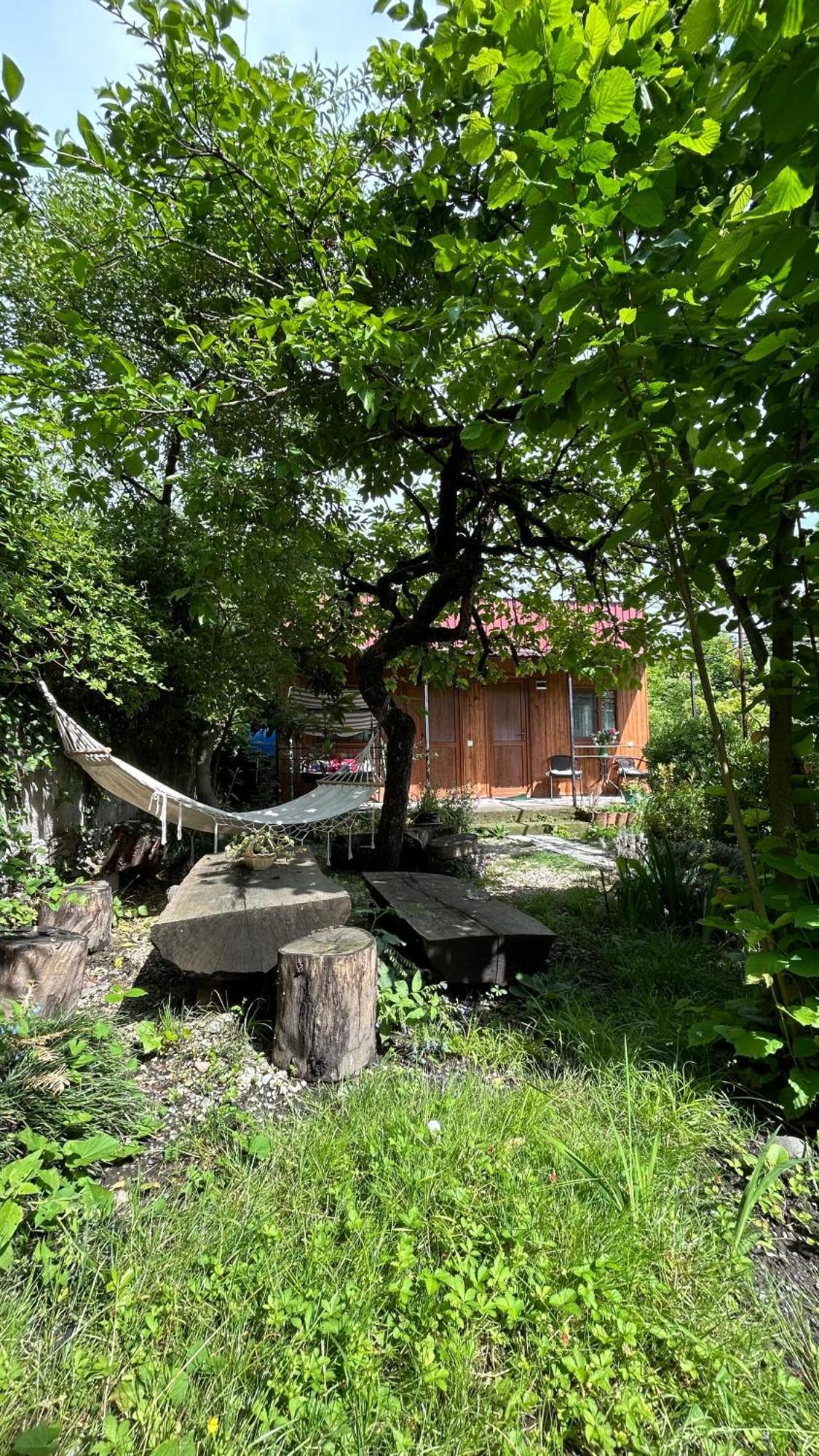 Ludwig Guesthouse Lagodekhi Kültér fotó