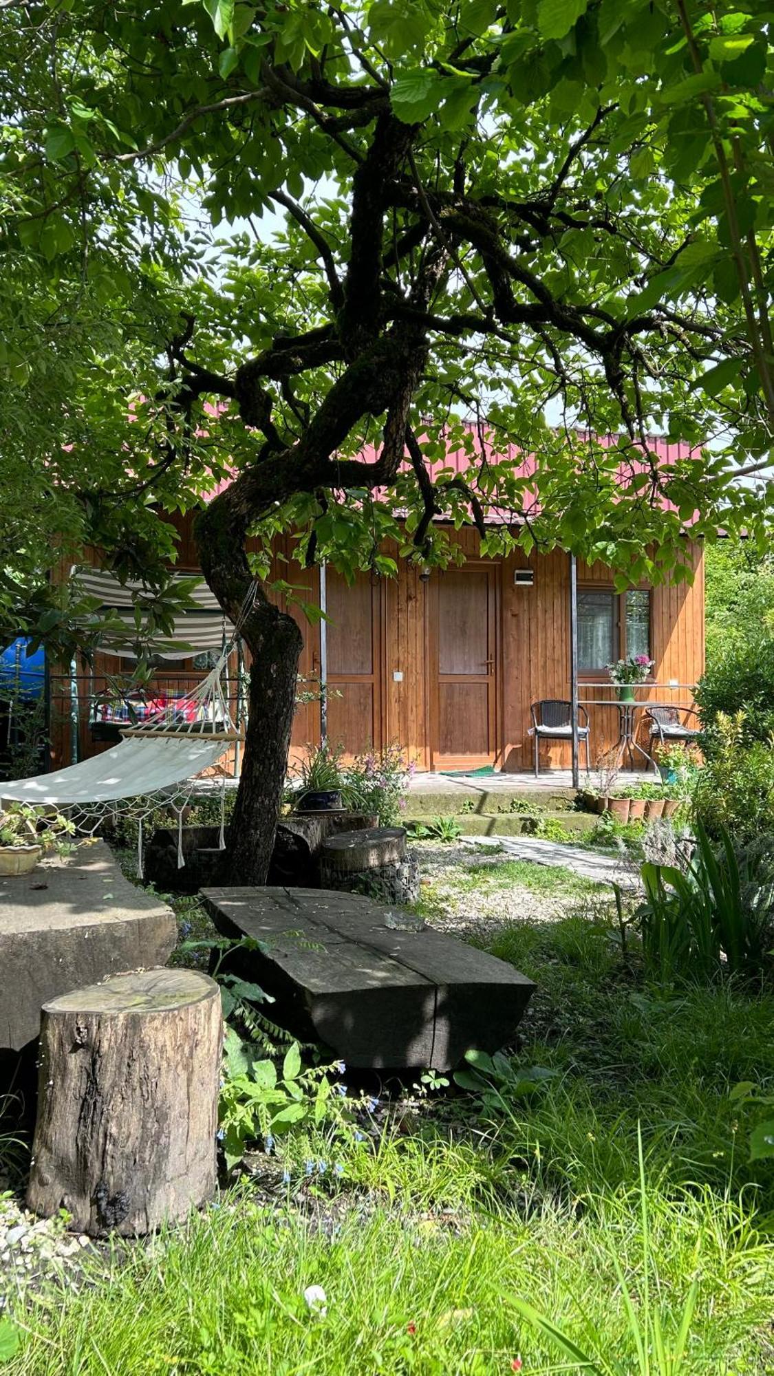 Ludwig Guesthouse Lagodekhi Kültér fotó