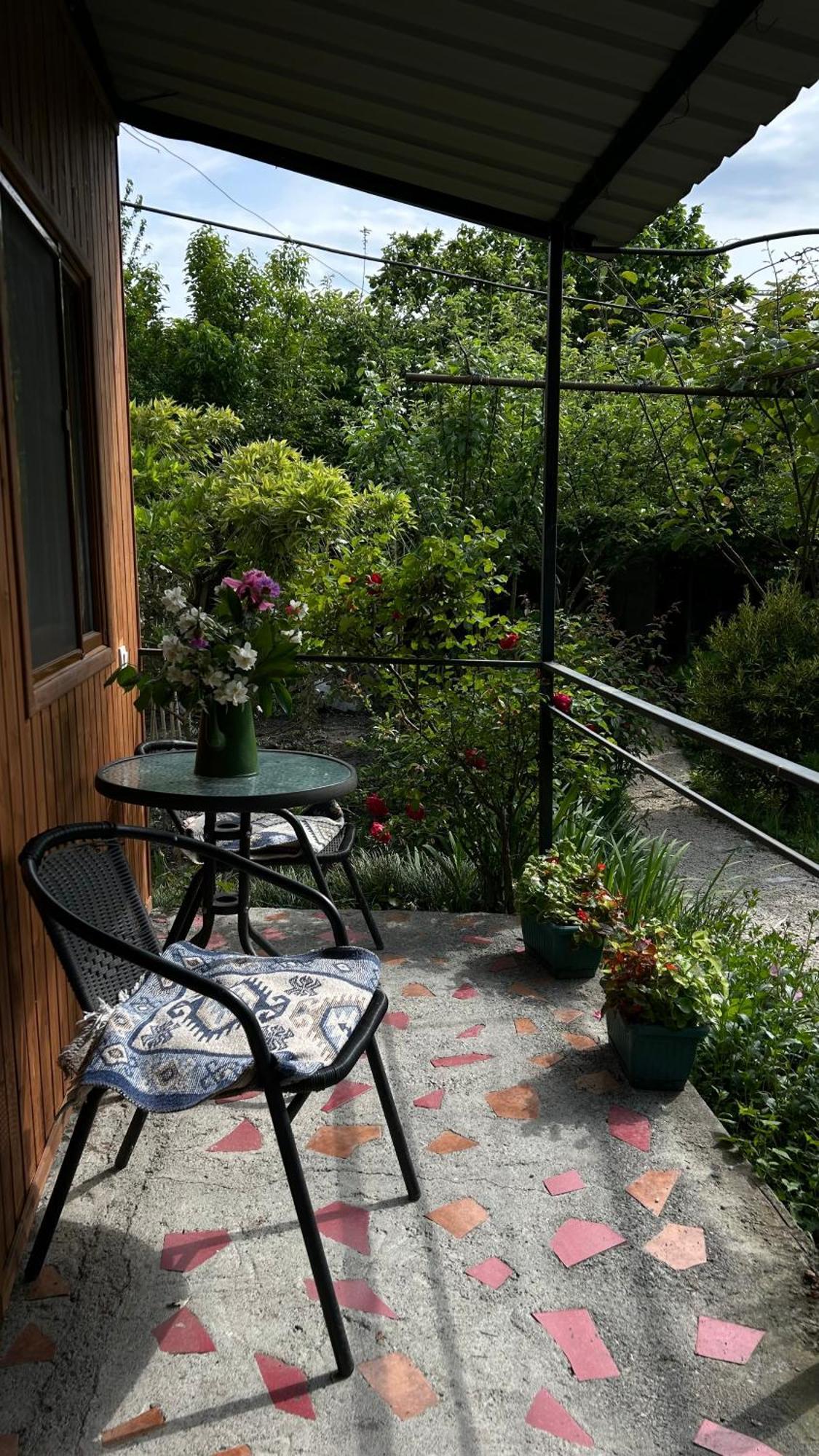 Ludwig Guesthouse Lagodekhi Kültér fotó