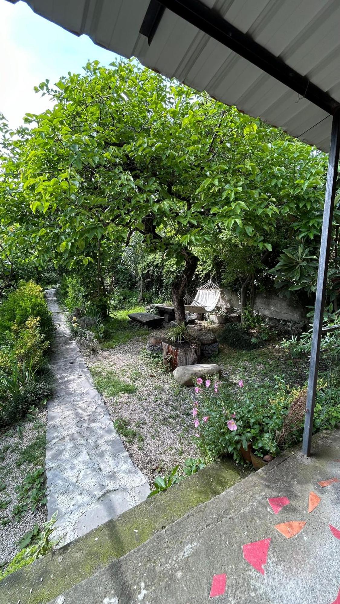 Ludwig Guesthouse Lagodekhi Kültér fotó