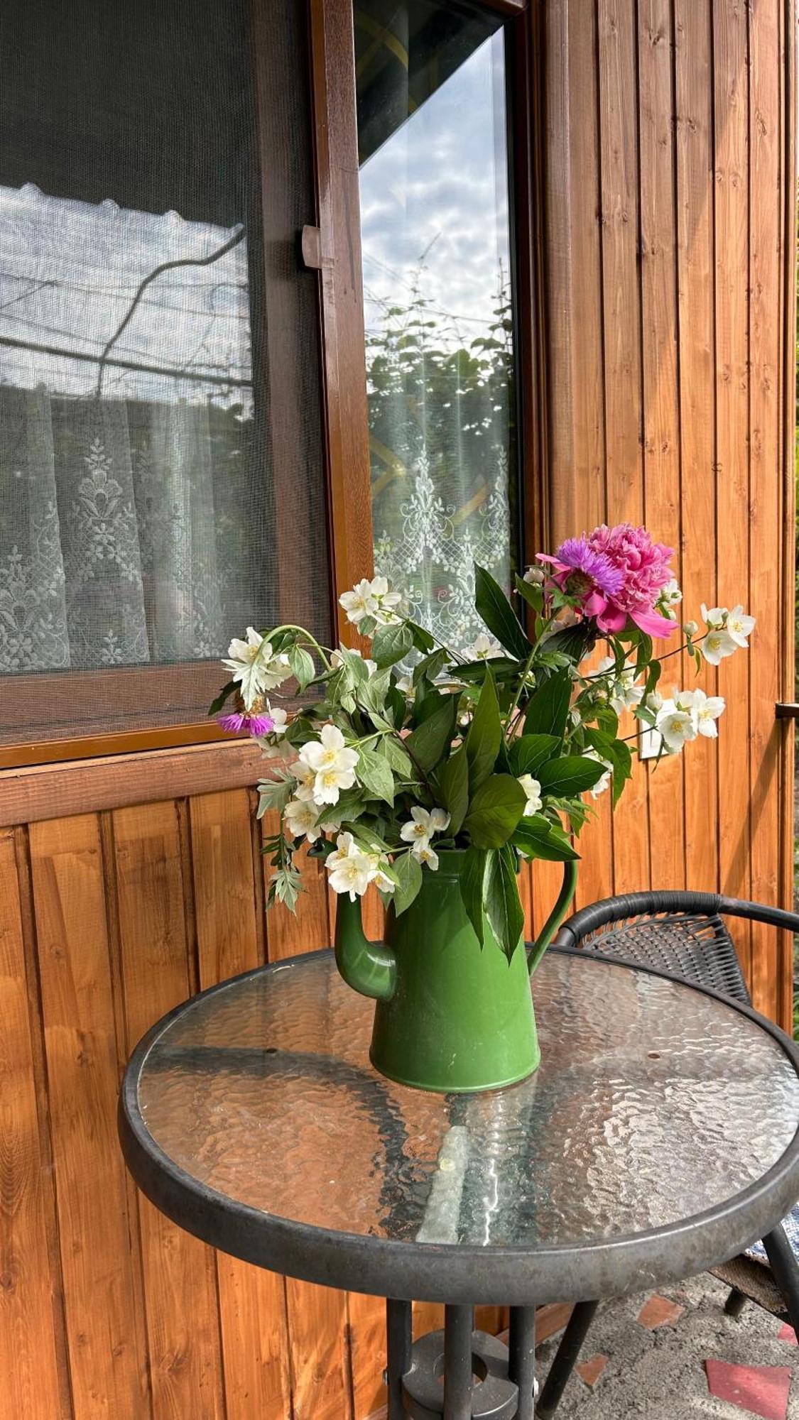 Ludwig Guesthouse Lagodekhi Kültér fotó